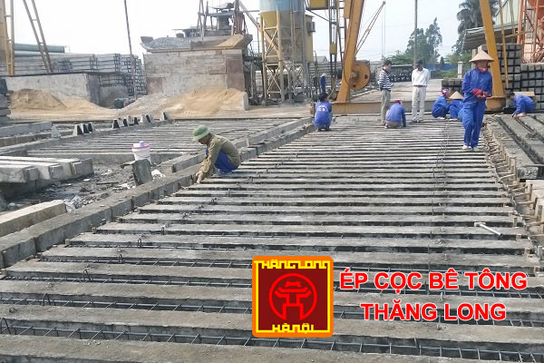 ép cọc bê tông